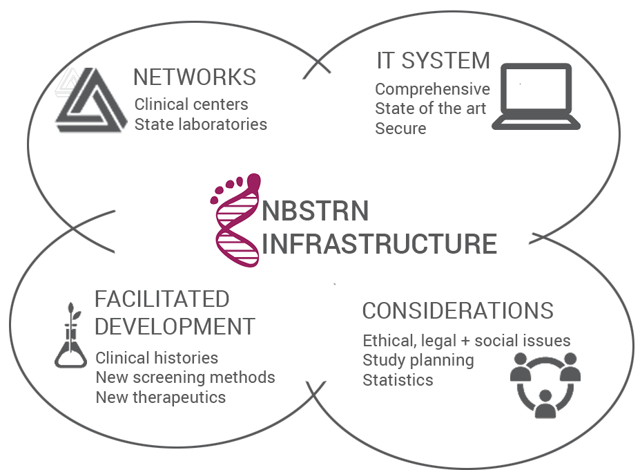 Diagram of NBSTRN infrastructure. Includes network of clinical centers and labs, IT system, development of clinical histories, new screening methods, new therapeutics, and ELSI considerations.